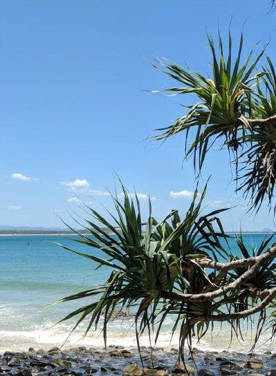 Noosa Print LH14