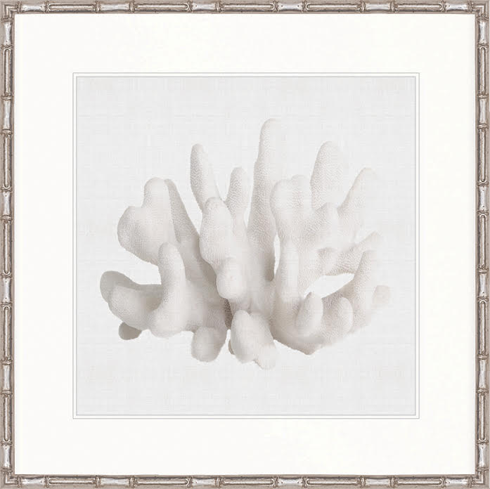 Coral Collection - DBAC2