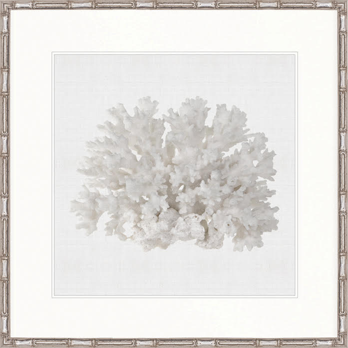 Coral Collection - DBAC3