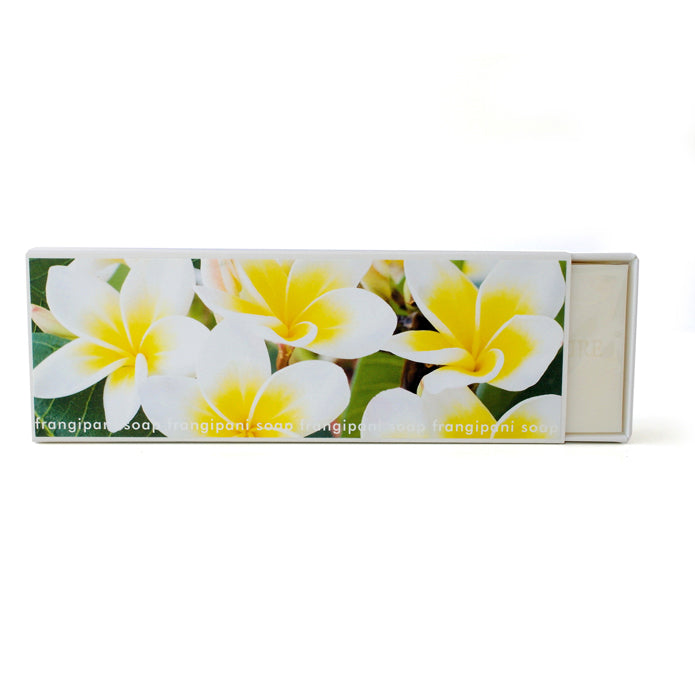 Signature Boxed Soap - Frangipani Design #2