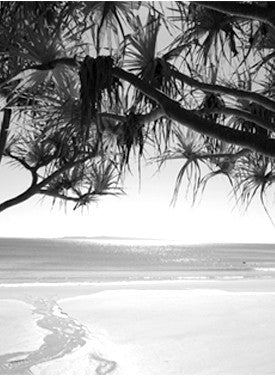Noosa black white print - LHBW4