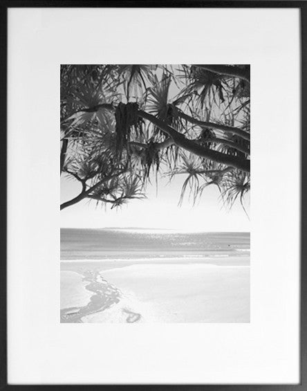 Noosa black white print - LHBW4