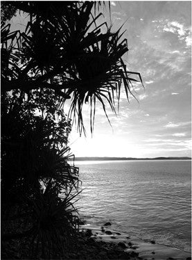 Noosa black white print - LHBW2