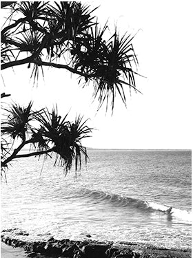 Noosa black white print - LHBW15