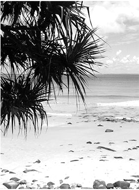 Noosa black white print - LHBW16