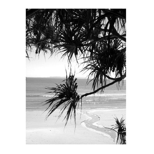 Noosa black white print - LHBW3
